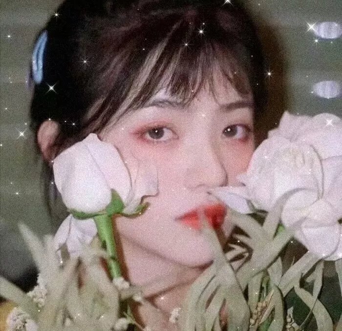 我的美女室友
